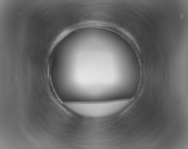 X0000081601365200701151043
