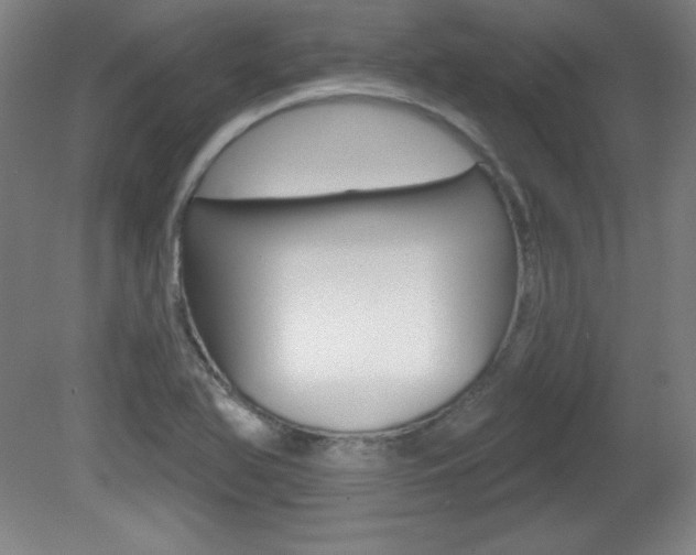X0000081601366200701151043