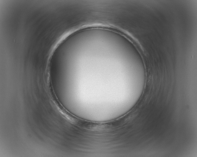 X0000081601367200701151043