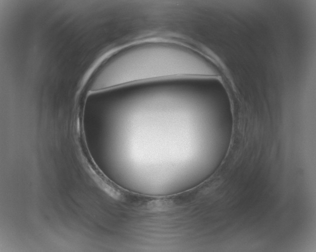 X0000081601368200701151043