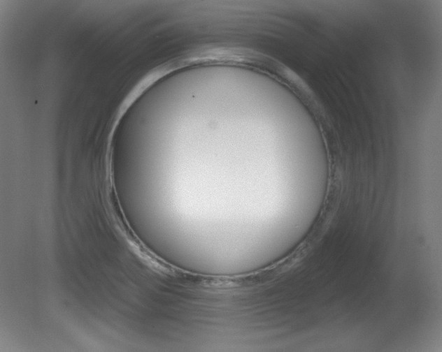 X0000081601370200701151042