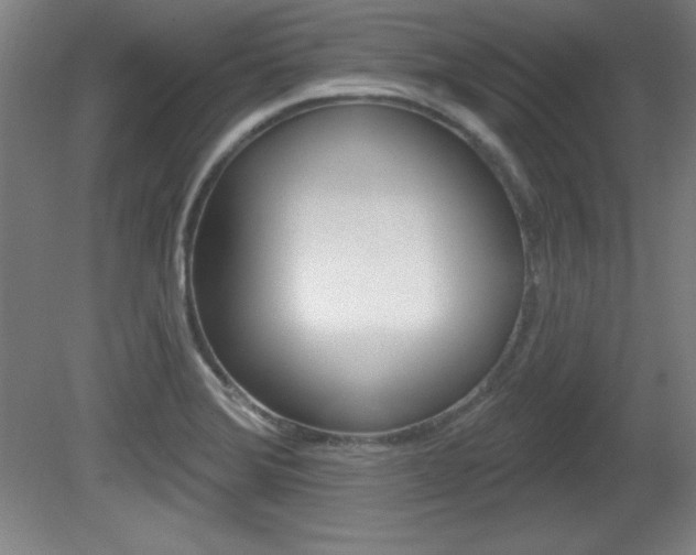 X0000081601372200701151042