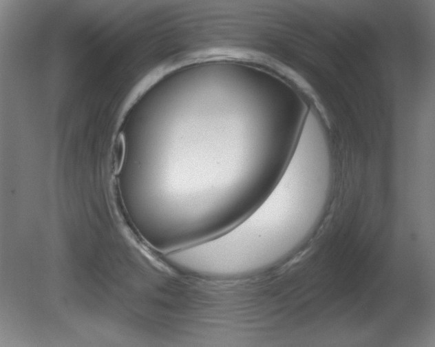 X0000081601373200701151042