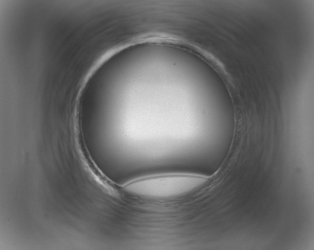 X0000081601375200701151042