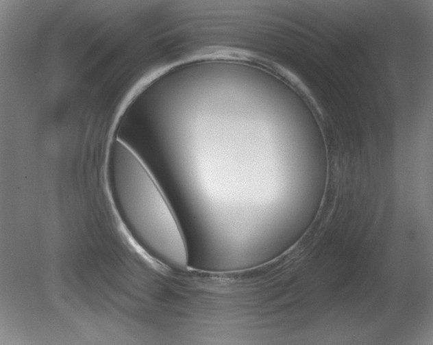 X0000081601379200701151042