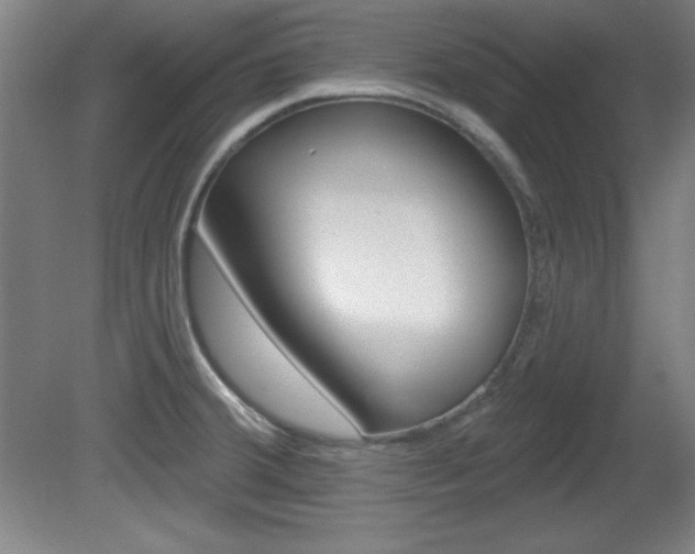 X0000081601380200701151042
