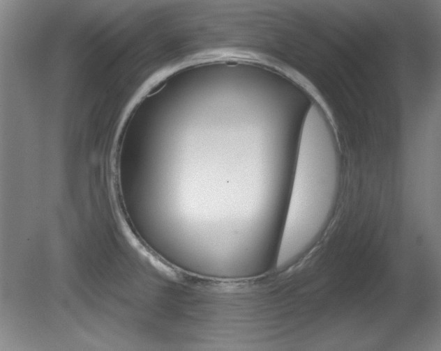 X0000081601381200701151042