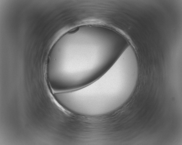 X0000081601383200701151042
