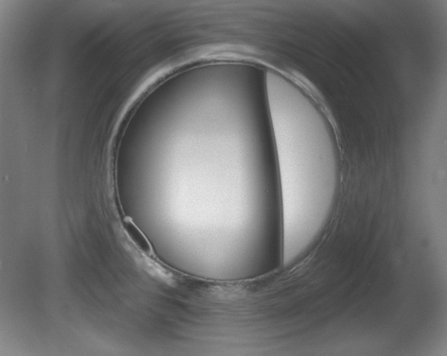 X0000081601384200701151042