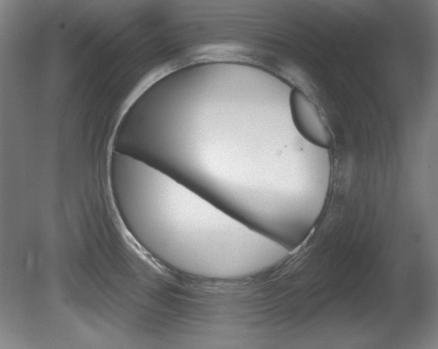 X0000081601386200701151042