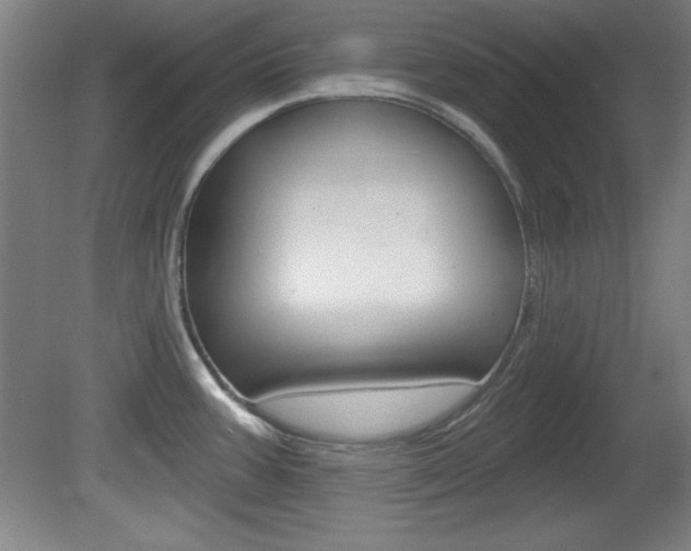 X0000081601387200701151042