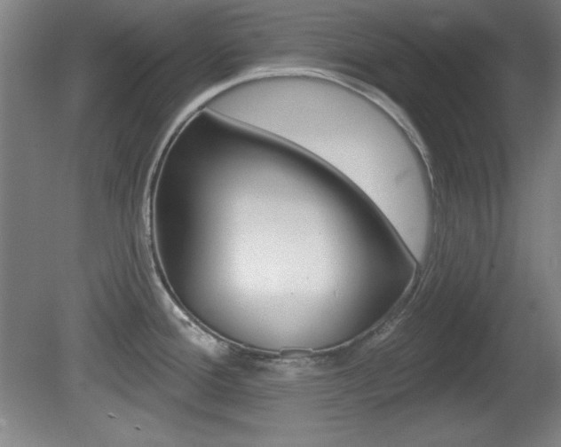 X0000081601388200701151042