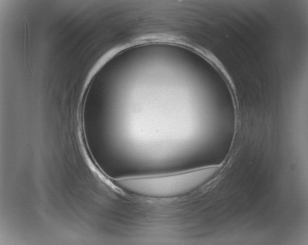 X0000081601389200701151042