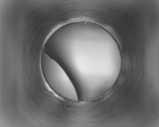 X0000081601390200701151042