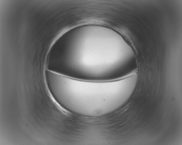 X0000081601391200701151042