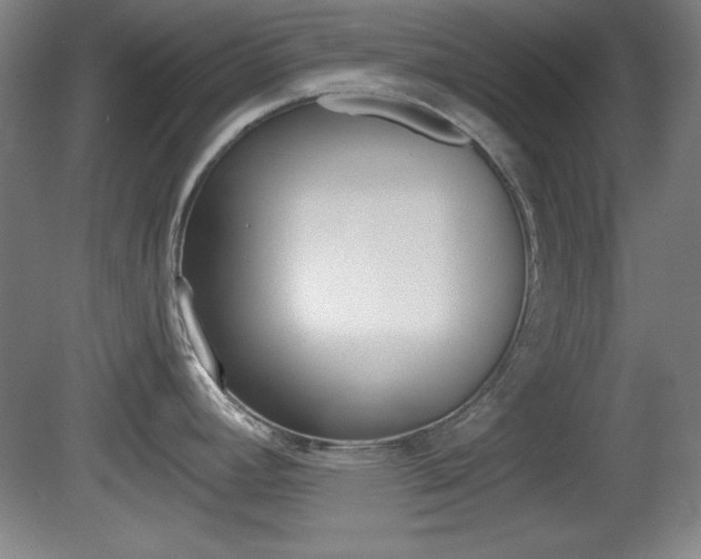 X0000081601392200701151042