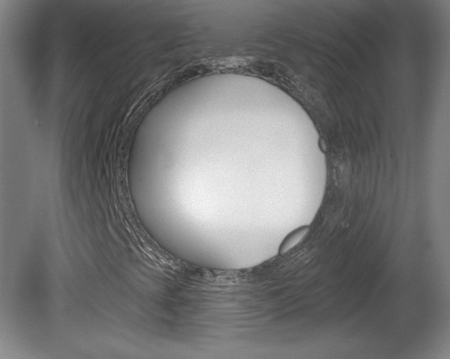 X0000081601393200701151041