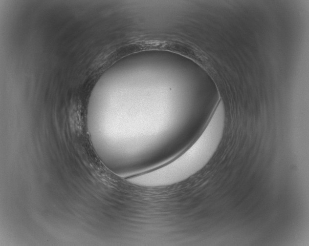 X0000081601394200701151041