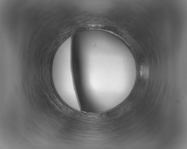 X0000081601396200701151041