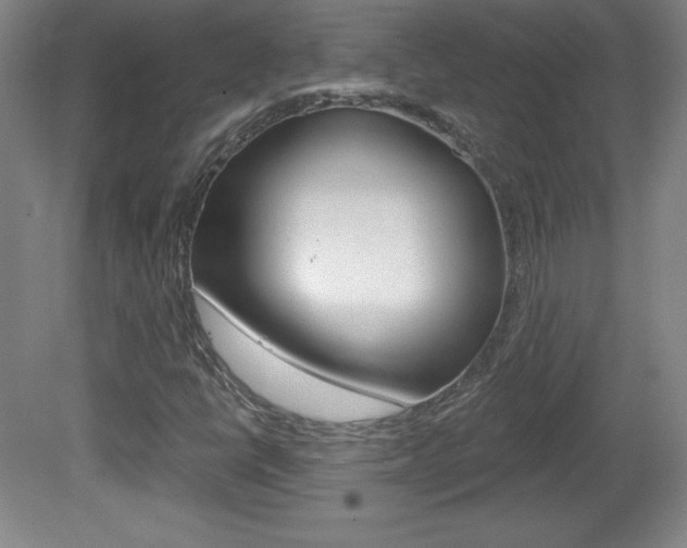 X0000081601398200701151041