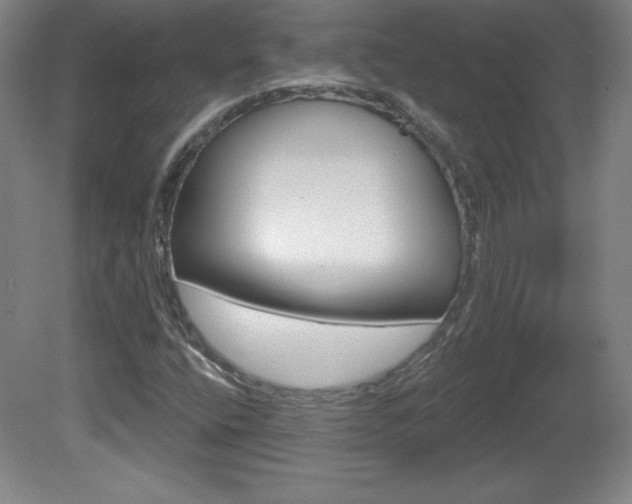 X0000081601400200701151041