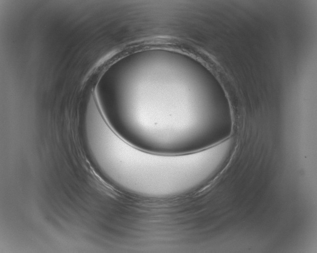 X0000081601402200701151041