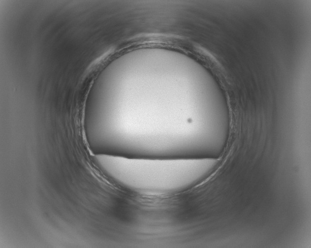 X0000081601403200701151041