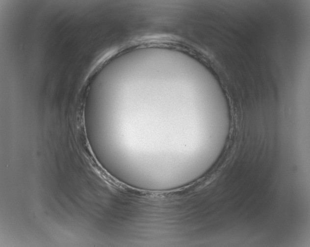 X0000081601405200701151042