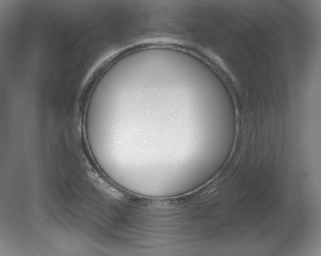 X0000081601408200701151042