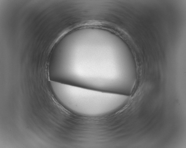 X0000081601409200701151042