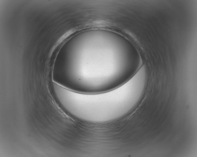 X0000081601410200701151042