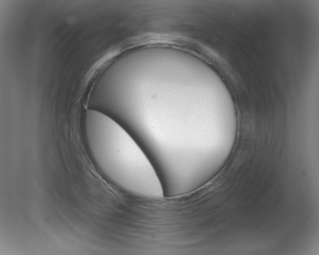 X0000081601411200701151042