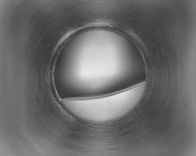 X0000081601412200701151042