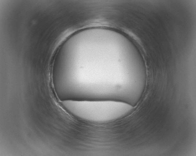 X0000081601415200701151042