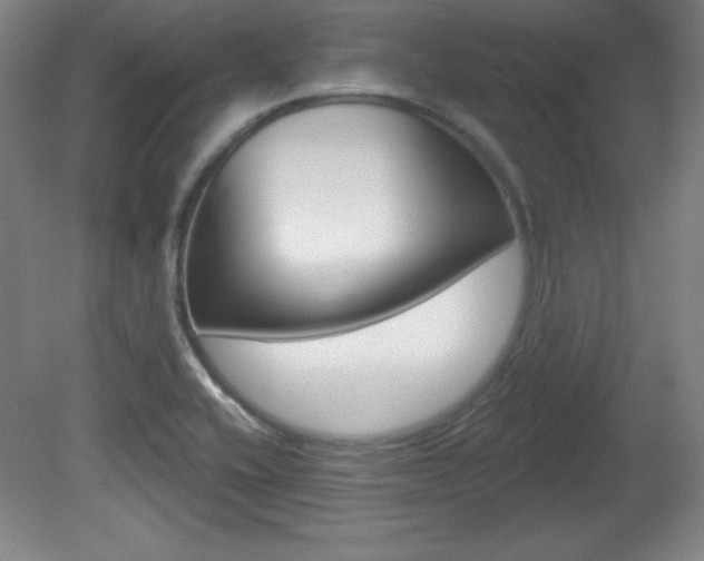 X0000081601416200701151042