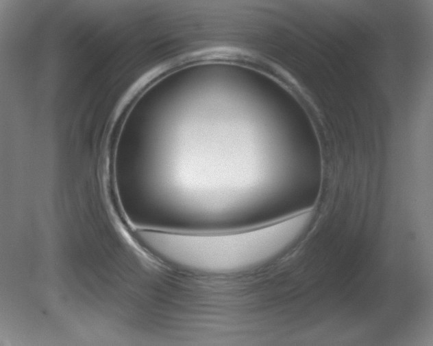 X0000081601418200701151042