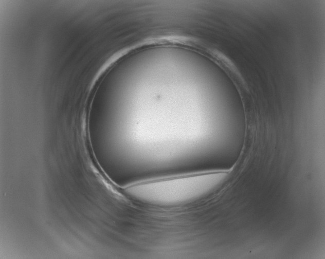 X0000081601420200701151042