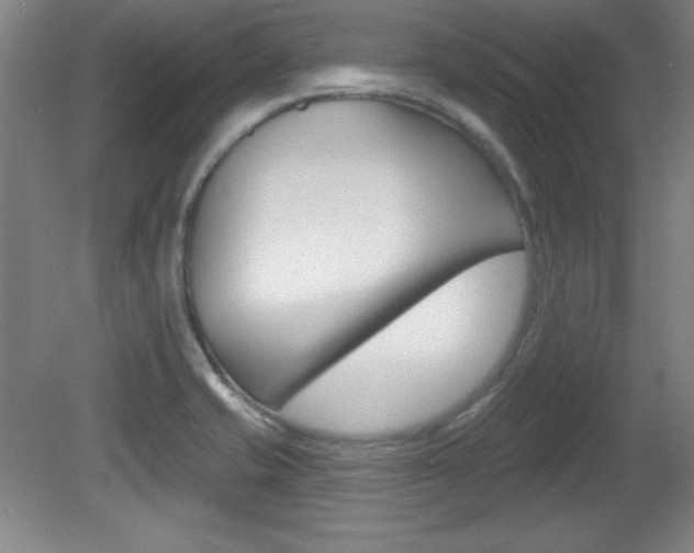 X0000081601421200701151042