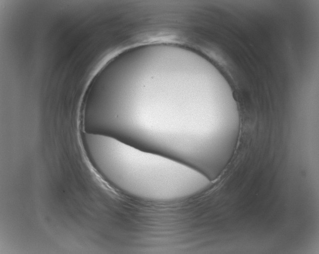 X0000081601423200701151042