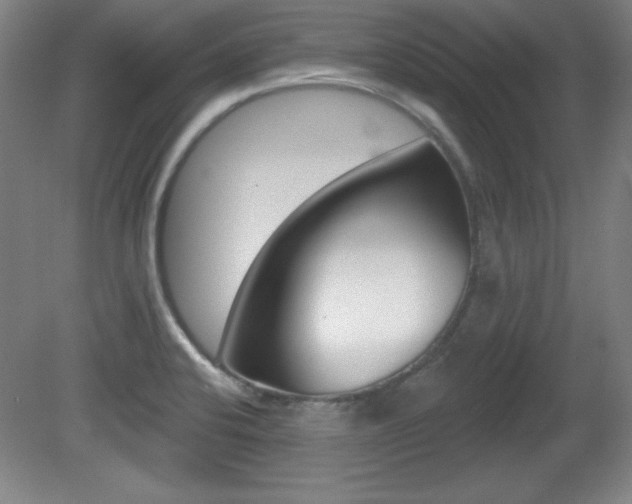 X0000081601424200701151042