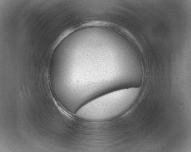 X0000081601425200701151042