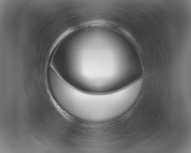 X0000081601426200701151042