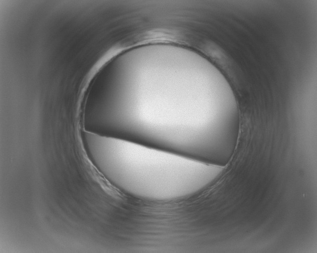 X0000081601427200701151042