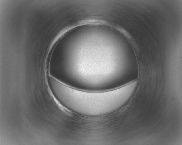 X0000081601430200701151042