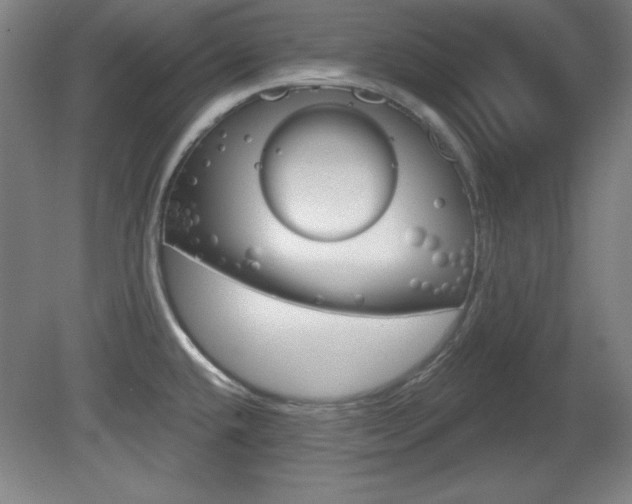 X0000081601432200701151042