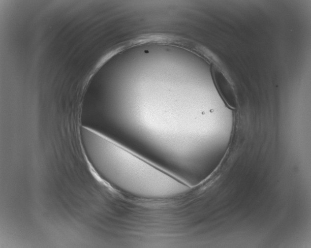 X0000081601433200701151042