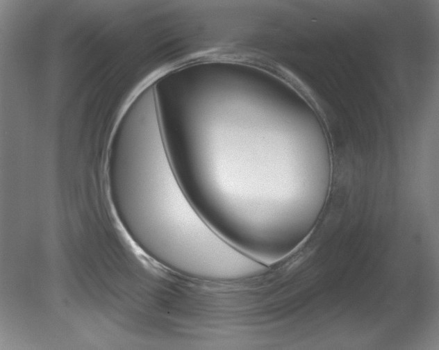 X0000081601434200701151042