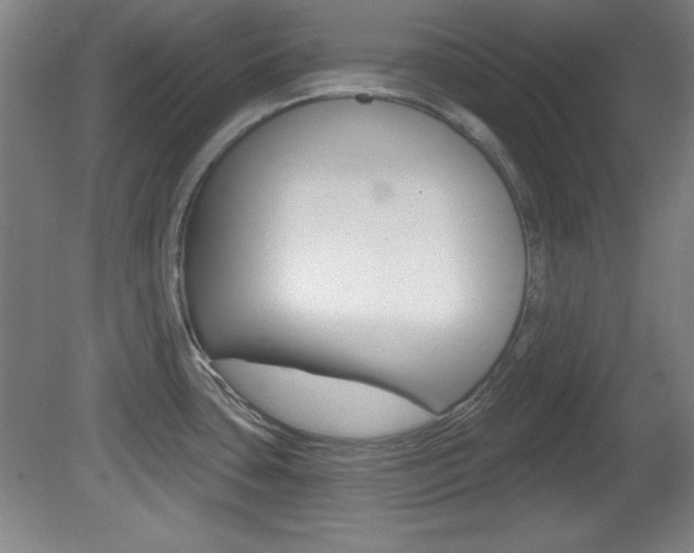 X0000081601435200701151042