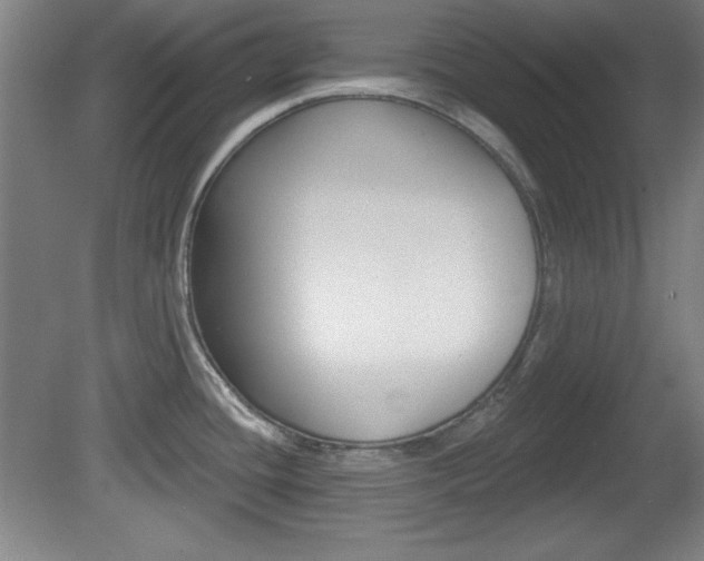 X0000081601436200701151042