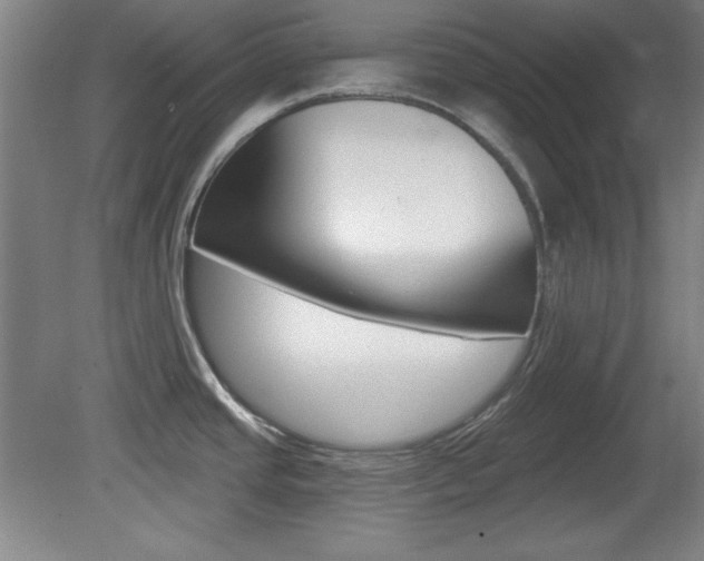 X0000081601437200701151042